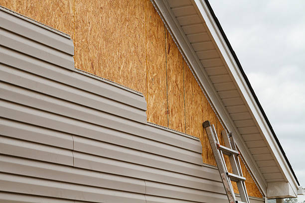Professional Siding Repair technician working in Buena Vista, GA